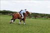 UKPA  NC Sat_1163